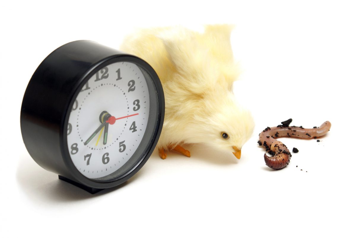 Bird and worm alongside a clock representing the concept of early bird catches the worm