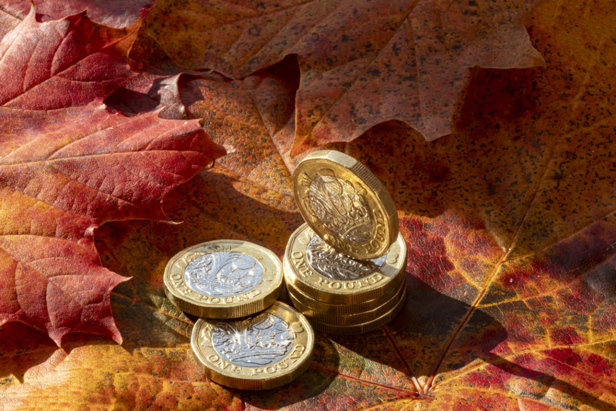 Pound coins resting on pile of autumn leaves