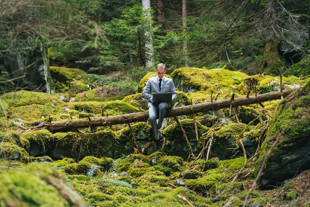 Business man on laptop sitting on a log in a forest