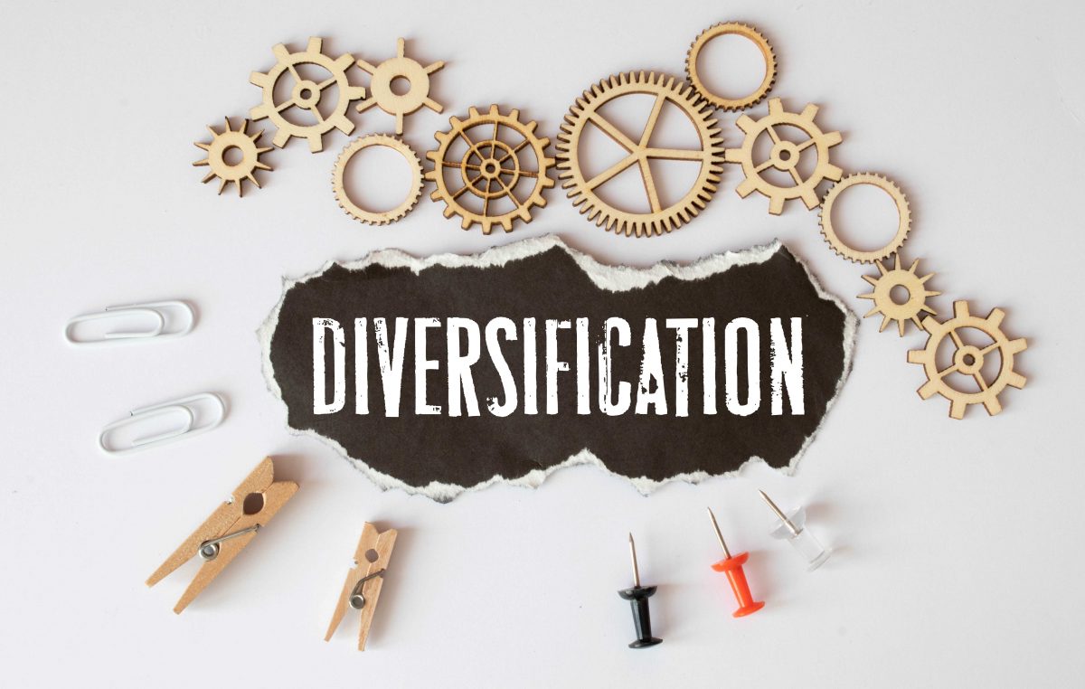 The word 'Diversification' alongside wooden cogs. pegs, paperclips, and pins